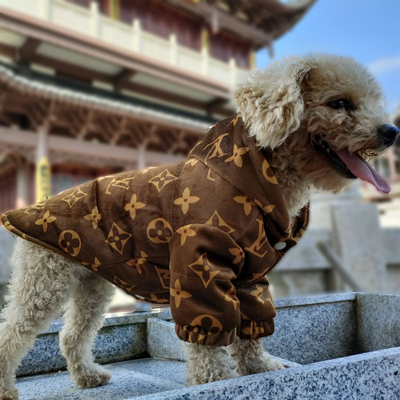 Dog Louis Vuitton clothes, LV dog coat