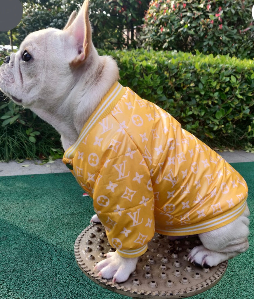 LV bomber yellow – The Frenchie Shop