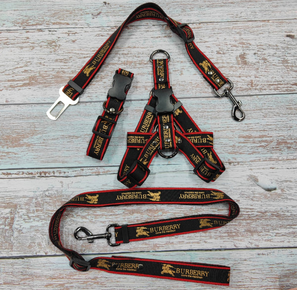 BB harness/collar/leash set