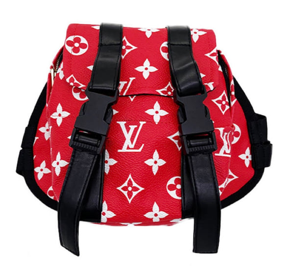 LV backpack - multiple options