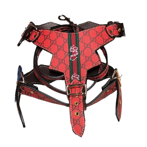 Red GG harness/collar/leash set