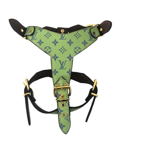 Green LV harness/collar/leash set